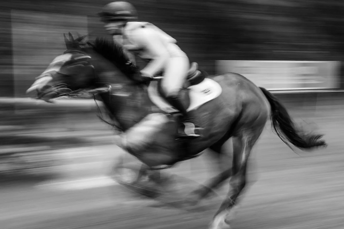Faktorer som styr oddsen i ridsport